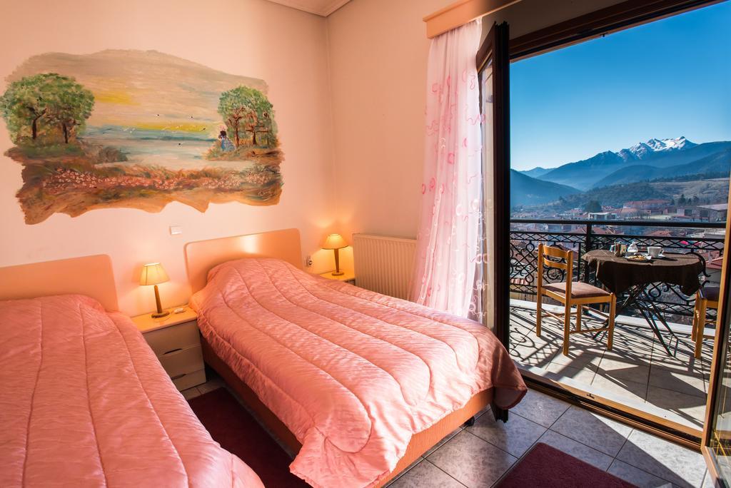 Artemis Hotel Karpenisi ห้อง รูปภาพ